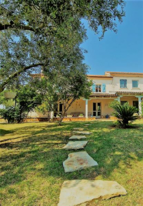 House Nono Bepo in small Istrian village